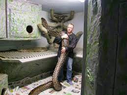 Sweet Snake Room Fishing Pictures Giant Snake Animals