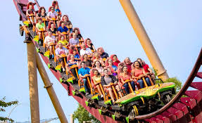 Main Roller Coaster untuk Kesehatan Ginjal, Kok Bisa? – Ladies.id