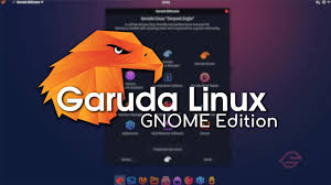 Unlike arch, the installation process is easy and management easy because of many included. Garuda Linux Gnome Edition Featureful Next Gen Linux Distro For 2021 Youtube
