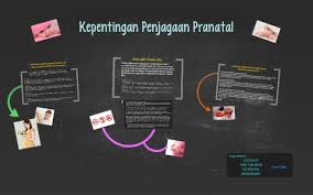 Bahkan untuk urusan makan juga sangat dihati hati. Kepentingan Penjagaan Pranatal By Farah Mohd Haron On Prezi Next