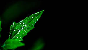 But while the company announced that the android app would go dark in. Dark Wallpapers 20 Free Jpeg Png Format Download Free Premium Templates