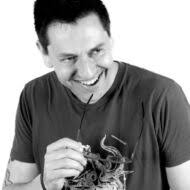 Maguey Melate Arroqueno