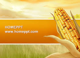 1 cara mengganti background powerpoint dengan gambar. Free Agriculture Powerpoint Templates