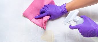 Maintain the mixture for at least 24 hours on the stain so that it absorbs all the urine and neutralizes the odors. How To Clean Urine From Mattress Top Natural Mattresses