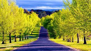 Beautiful Pathway Wallpaper Http Wallpapers Ae Beautiful Pathway Wallpaper Html Scenic Wallpaper Beautiful Places In The World Beautiful Places