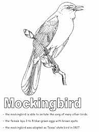 Make a fun coloring book out of family photos wi. Mockingbird Coloring Page Coloring Library