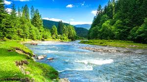 23 Nature 4k Wallpapers On Wallpapersafari We hope you enjoyed the collection of 4k nature wallpapers.