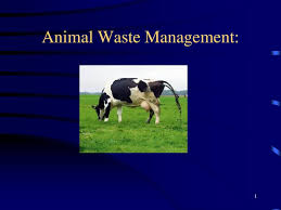 We provide pest control service, humane wildlife trapping, proofing, animal droppings removal & sanitizing, and we remove dead animals. Animal Waste Management Ppt Download