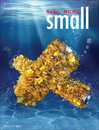 Youtube'da küçük kanalların bile on numara küçük resimler yaptığını görüyoruz. Overview Small Wiley Online Library