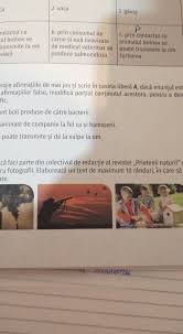 Golul victoriei a fost marcat in minutul 120+1. 6 ImagineazÄ Èi CÄ Faci Parte Din Colectivul De RedacÈie Al Revistei Prietenii Naturii Si Trebuie SÄ Brainly Ro