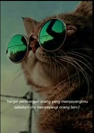 We did not find results for: Quizz Rules 3 Soal No Copas Harus Lengkapsoal 1 Sebutkan 5 Hewan Mamalia2 Sebutkan 5 Hewan Brainly Co Id