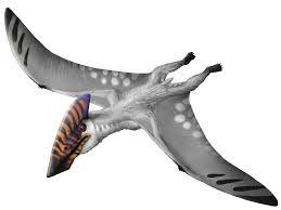 Vectidraco Prehistoric Animals Prehistoric Creatures Dinosaur Art