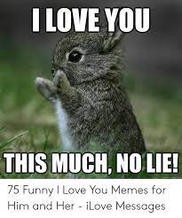 If your relationships are gentle and you want to highlight this fact, choose cute memes for your boyfriend. 27 I Love You Funny Memes For Him Factory Memes