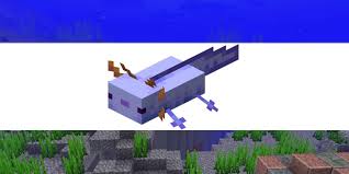 Entering the command to spawn blue axolotl in minecraft is simple. All Axolotl Colors In Minecraft Pro Game Guides