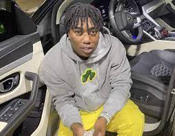 Fredo bang was born as fredrick t. Fredo Bang Sagt Frauen In Motorhauben Zu Sehen Sei Ein Grosses Problem Germanic Nachrichten