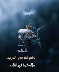 اللهم لا شوكة في الدرب ولا وخزة في القلب https instagr am p cekoqhogyjg movie posters movies poster