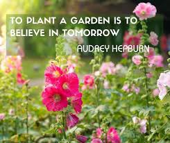 30 Inspirational Short Flower Quotes 35 Inspirational Gardening Quotes And Famous Proverbs Download 3 In 2020 Short Flower Quotes Flower Quotes Flower Quotes Life