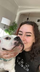 Celebrating a year with pet Bentley