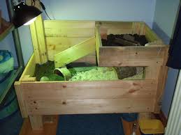 Ramp Would Need Railings Needs More Moving Room But Like The Upper Bed Tortoise Table Tortoise Russian Tortoise Diet