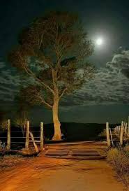 Pin By Merces Lopes On Luar Moonlight Photography Beautiful Moon Night Pictures