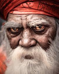 Perspective is how you see and view subjects in relation to their  environment. Sometimes, it's literally seeing the 'wood for the trees' as  featured in this image. For February, I'm featuring images