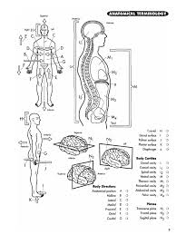 Download Princeton Review Anatomy Coloring Book