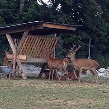 Pensionen in der region tirol. Haus Kunz Ladis Moderne Ferienwohnungen Im Skigebiet Serfaus Fiss Ladis