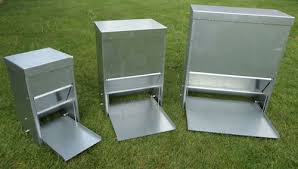 Automatic Chicken Or Duck Feeder: Everything To Consider