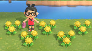 Different color flowers new horizons. Animal Crossing New Horizons Switch Flowers And Hybrids Guide Polygon