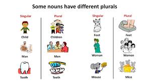 This default quantity is most commonly one (a form that represents this default quantity of one is said to be of singular number). Irregular Plural Nouns English Grammar Exercise Beginner Level Bitgab