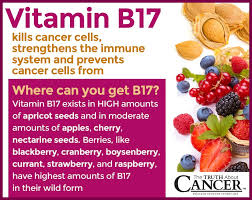 Vitamin b17 a.k.a laetrile is one of those controversial anticancer drugs that took the market by storm in the 1950s. Did You Know That Vitamin B17 Can Help The Truth About Cancer Facebook
