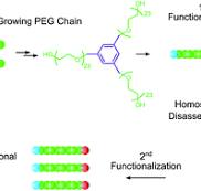 Iterative synthesis of monodisperse PEG homostars and linear ...