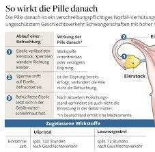 Findet im gleichen zyklus zu einem späteren zeitpunkt nochmal sex statt muss in jedem fall zusätzlich verhütet. Pille Danach Wird Fur Netz Apotheken Gesperrt Welt