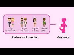 En surrohana ofrecemos la ayuda y los medios necesarios para que cualquier persona pueda cumplir su sueño de formar una familia a través de la gestación subrogada, erróneamente llamada: Que Es La Gestacion Subrogada Definicion Tipos E Indicaciones