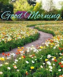Good morning wishing you a wonderful day flower quote. Pin By Shiva Sivanesarajah On Good Morning Most Beautiful Gardens Beautiful Gardens Flower Landscape
