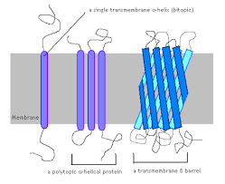 Mastering Biology - Properties Of Water Flashcards | Quizlet