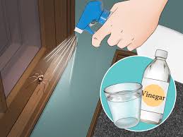 Severe spider bite symptoms occur as a result of the venom that the spider injects. How To Get Rid Of Spiders In The House 11 Steps With Pictures