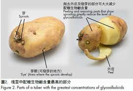 Toxic Glycoalkaloids In Potatoes