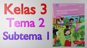 Kelas 3 Tema 1 Subtema 2 Latihan Soal Youtube