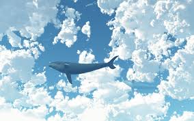 Whale In The Sky 2 Wallpaper Artistic Wallpaper Night Sky Wallpaper Whale
