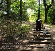 showa kinen park 昭和記念公園 childrens forest picspo forest photos garden bbq memorial park