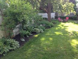 Fence Line Plantings Privacy Landscaping Landscape Design Backyard