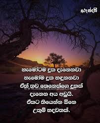 Check spelling or type a new query. Duka Nisadas Archives Sinhala Nisadas