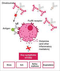 Explore the tslp investigation hub to learn more about severe asthma inflammation. Position Statement For The Use Of Omalizumab In The Management Of Chronic Spontaneous Urticaria In Indian Patients Godse K Rajagopalan M Girdhar M Kandhari S Shah B Chhajed Pn Tahiliani S Krupa