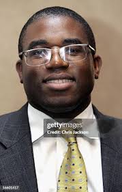 160 Eliot Jackson Stock Photos, High-Res Pictures, and Images