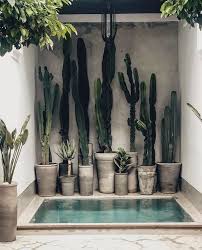 Architecture Design No Instagram La Maison Marrakech La Maison Marrakech Marrakech Morocco Via La M In 2020 Instagram Cactus Cactus And Succulents