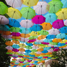Welcome to the official facebook page of dollywood! Dollywood S Flower Food Festival Enjoy Half A Million Flowers Umbrella Sky Wztv