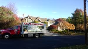 You can use the services of furthur for literarily everything about your home. Tree Service And Shrub Experts Northvale Nj Kens Tree Care Mulch On Sale Where To Buy Mulch Near Me Tree And Shrub Experts