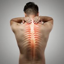 Each of the seven true ribs attaches to the breastbone (sternum) at the front of the chest through cartilage, as well as to the vertebrae of the spine in the back. Mid Back And Rib Pain