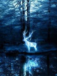 Strannoe Harry Potter Wallpaper Harry Potter Background Harry Potter Patronus